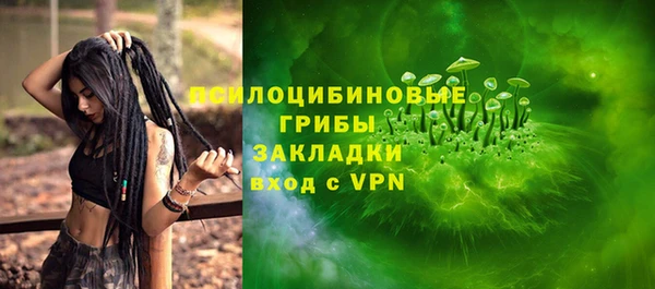 PSILOCYBIN Аркадак