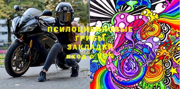 PSILOCYBIN Аркадак