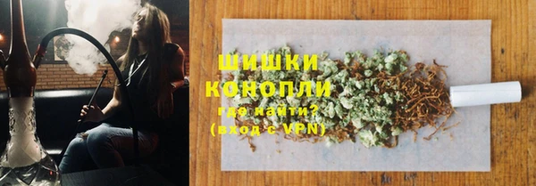 PSILOCYBIN Аркадак