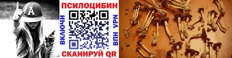 hydra зеркало  цена наркотик  Любань  Псилоцибиновые грибы Psilocybe 
