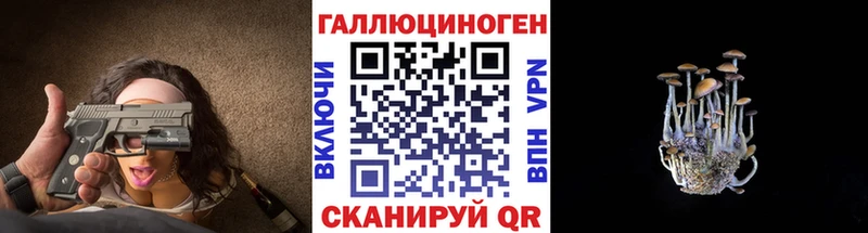 Галлюциногенные грибы Psilocybe Любань